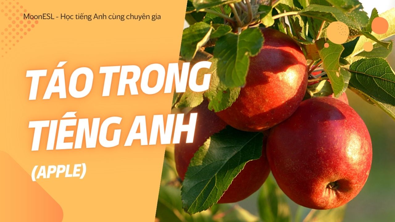 Quả Táo Trong Văn Hóa Và Đời Sống